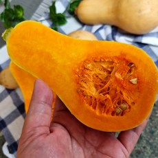 제주 땅콩호박 1.5kg 3kg, 1개