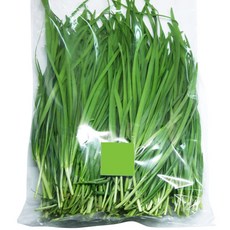 부추 1kg, 1개