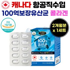 러스틱스