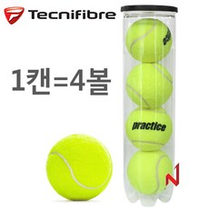 테크니화이버 테니스볼 프랙티스 연습구 1캔=4볼, 상세확인