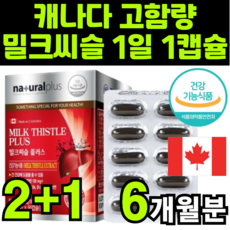 저녁음주수치