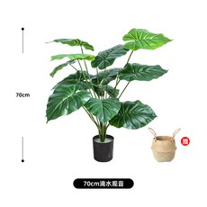 쉐프렐라