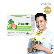 안국건강 코박사에스 120캡슐 1박스 콧물 재채기 개선 (1개월분), 1개, 단품, 120정