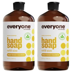에브리케어핸드솝리필