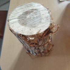 130178b38caf4e3ad5a8ddaf9f89f7403ad7b551e924cf4f1b342146fd2c.jpg