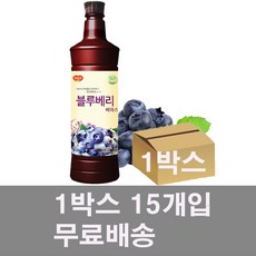 광야 블루베리베이스 970ml x 15개 1박스