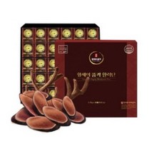 황제의품격활력단