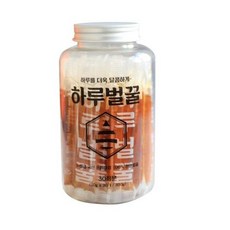 꿀보의하루
