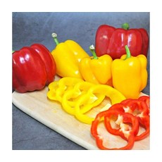 농협 신선특선 건강채소 혼합 파프리카 4kg (빨강/노랑), ONE COLOR, ONE SIZE