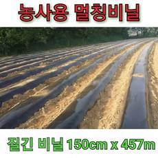 멀칭비닐