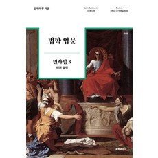 법학 입문 민사법 3: 채권 효력, 김해마루 저, 율현출판사