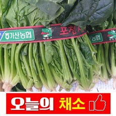 바른채소 시금치 1단 (약300g) 신선함을 그대로 가락시장 가락몰 직배송 시스템, 1개