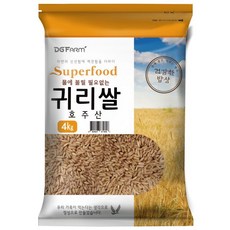 대구염색