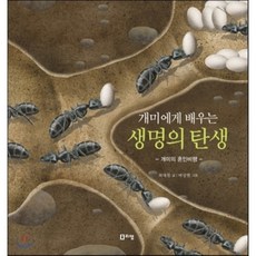 유아동화개미