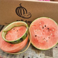 산지직송 국내산 애플수박 2kg 내외, 2개
