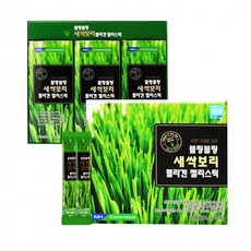 파주사과즙