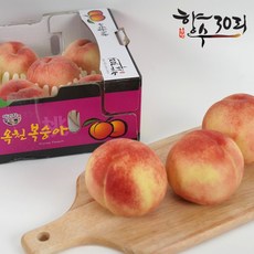 옥천향수30리