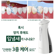 음식물 찌꺼기와 플라그 제거 물치실 구강세정기 WTP03 입냄새 교정 임플란트 부정교합 추천, 1개