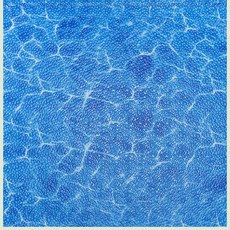 96c4a752b0c2cec781beae8698f66976549218f779f92dcdb5ef68cd94d9.jpg