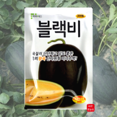 블랙비수박종자200립 흑피황육 미니수박 전문농가 옐로우 수박씨앗, 1개