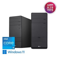 LG 데스크탑 INTEL I5 12세대/WIN11pro 포함 B80KV-AP25DZE