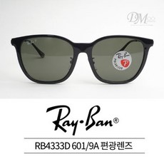 레이벤편광