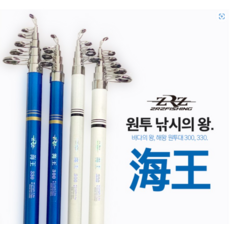 해왕300