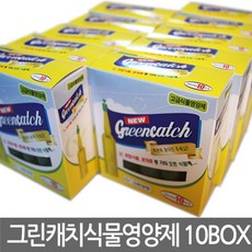 생장술앰플
