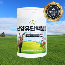 힐링팩토리 네덜란드산 산양유 단백질분말 100%, 3개, 300g