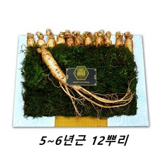 ae169f5395b34b2ab19fe21f1adc7ec143f167da030c3a7d61f5a4a5efc0.jpg