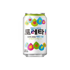 토레타 이온음료 캔, 340ml, 24개입