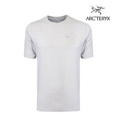 아크테릭스코막