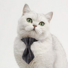네오바트 격자 체크 강아지 고양이 반려동물 보타이 넥타이, 그레이체크, 1개