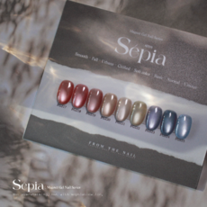 고네일 / 프롬더네일 세피아 9종 자석젤 유리알 자석네일