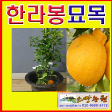 73268cd918555bb97d44c6ec6e9c3b846747542ad30b01f027104bb79413.png
