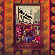 Blackbyrds (Artist) Format: Vinyl City Life [LP]