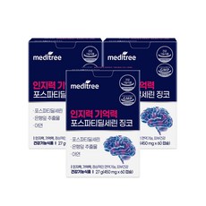 인지력 기억력 포스파티딜세린 징코 3개월분 PS 피에스, 60정, 3개