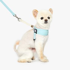 펫모이스 강아지 개편 하네스 + 리드줄, 파스텔민트