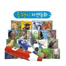 태극펜자연동화