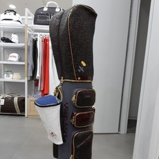 데니스골프 플랜웍스 캐디백 QAIXLCB694BK, F