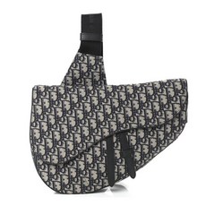 디올남자크로스백