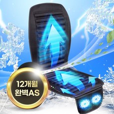 더쎈 신형 더블 빅팬 고출력 차량용 쿨링시트 통풍시트 12V 24V, 블랙 12V, 1세트 블랙 12V, 1세트