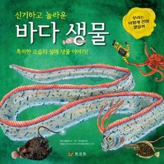 신기하고 놀라운 바다 생물 특이한 모습의 심해 생물 이야기 양장, 상품명, One color | One Size