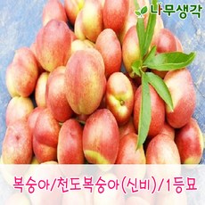 43d8e824cbfc61281accb864b2137aeee0bd7eb6b7296bcaef9df59c782c.JPG