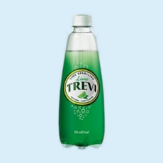 트레비 라임 미니페트 300ml, 5개