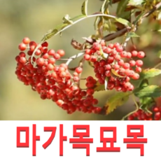 45196d58405b21c2babfa6b0200b45c62bb130bb2ab7bc81938906c8a50f.png