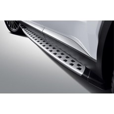 팰리세이드튜익스사이드스텝