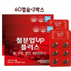 철분 엽산 비타민D 비타민B12 구리 4중복합기능성 임산부 치아 뼈건강 비타민 성장기 청소년 온가족 철분제 추천