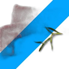 한우 살치살 200g 갈매기살 갈매기 육류, 1개