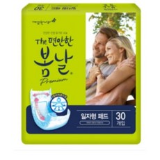 백년의봄날은가고